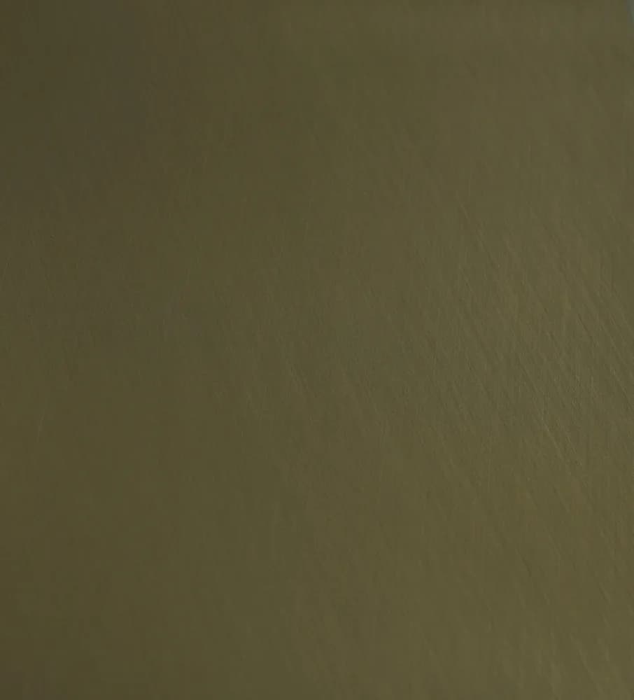 Kastamonu Evogloss — Axis Brass (P282)