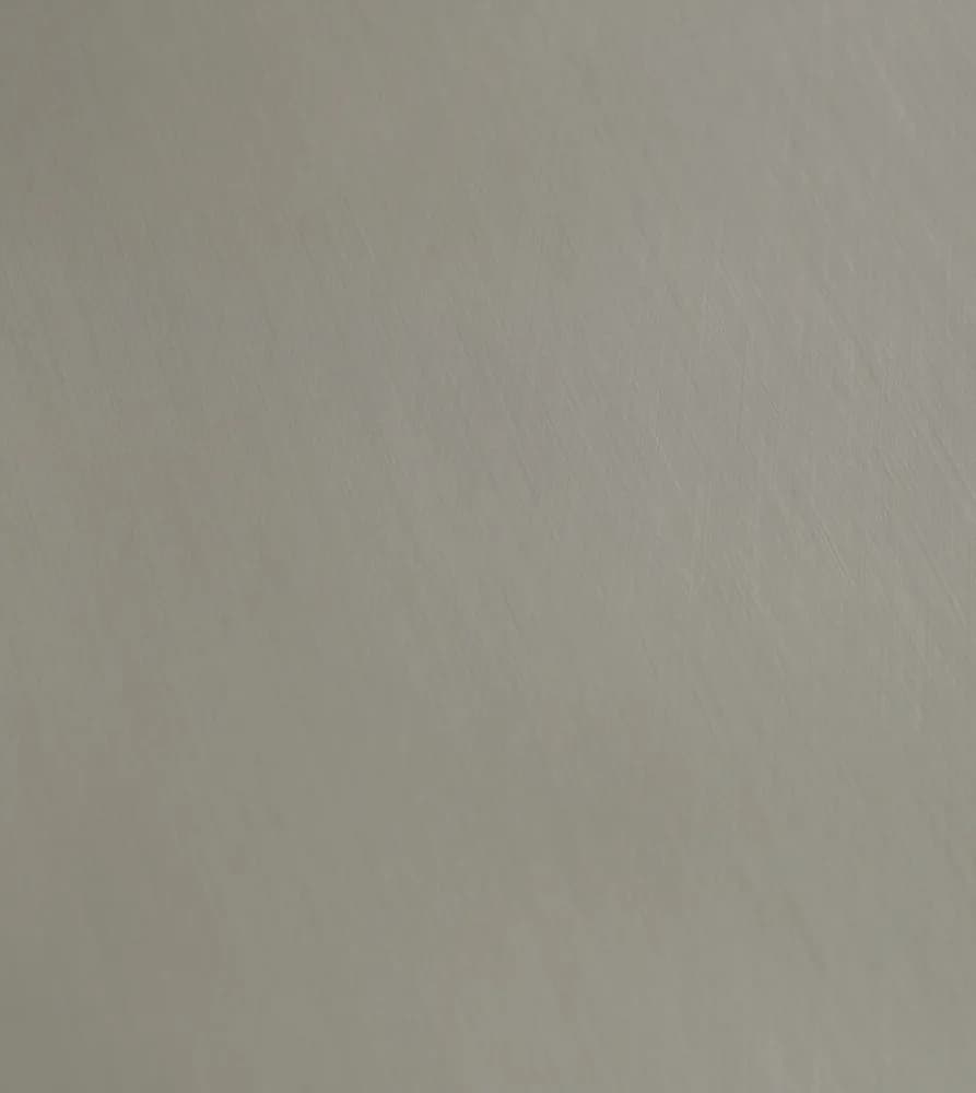 Kastamonu Evogloss — Axis Silver (P283)