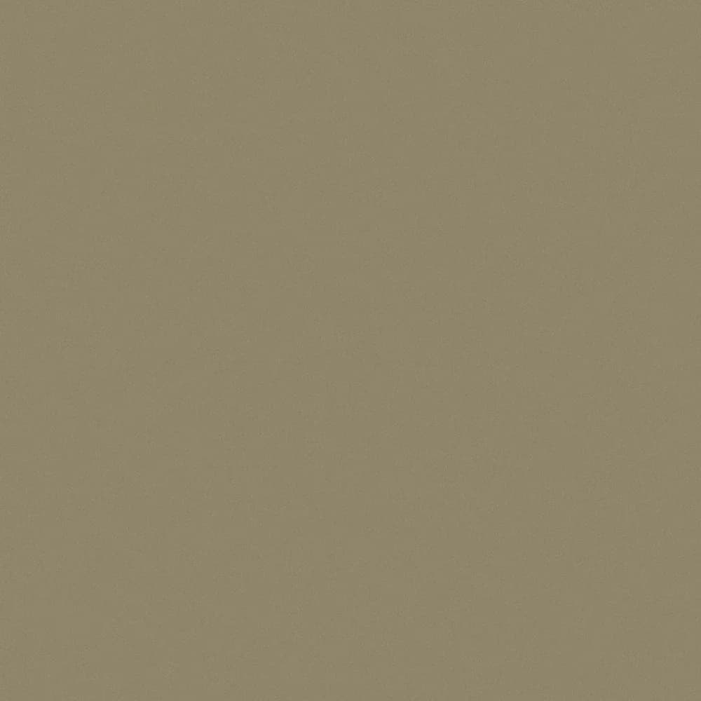 Kastamonu Evogloss — Gold Metal (P284)