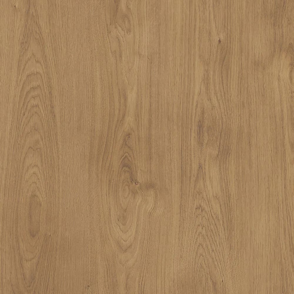 Kastamonu Vision — Tortana (A500)