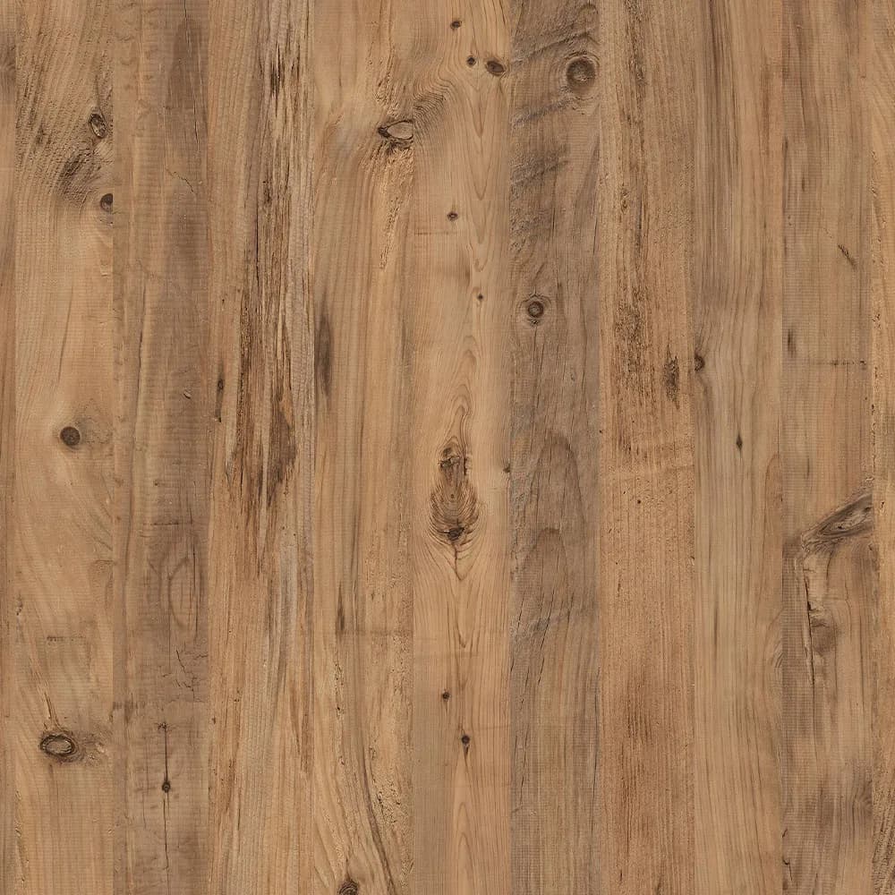 Kastamonu Vision — Atlas Pine (A551)