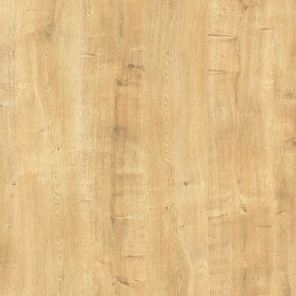Kastamonu Vision — Honey Oak (A641)