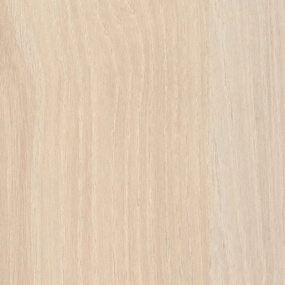 Kastamonu Vision — Acacia (A809)