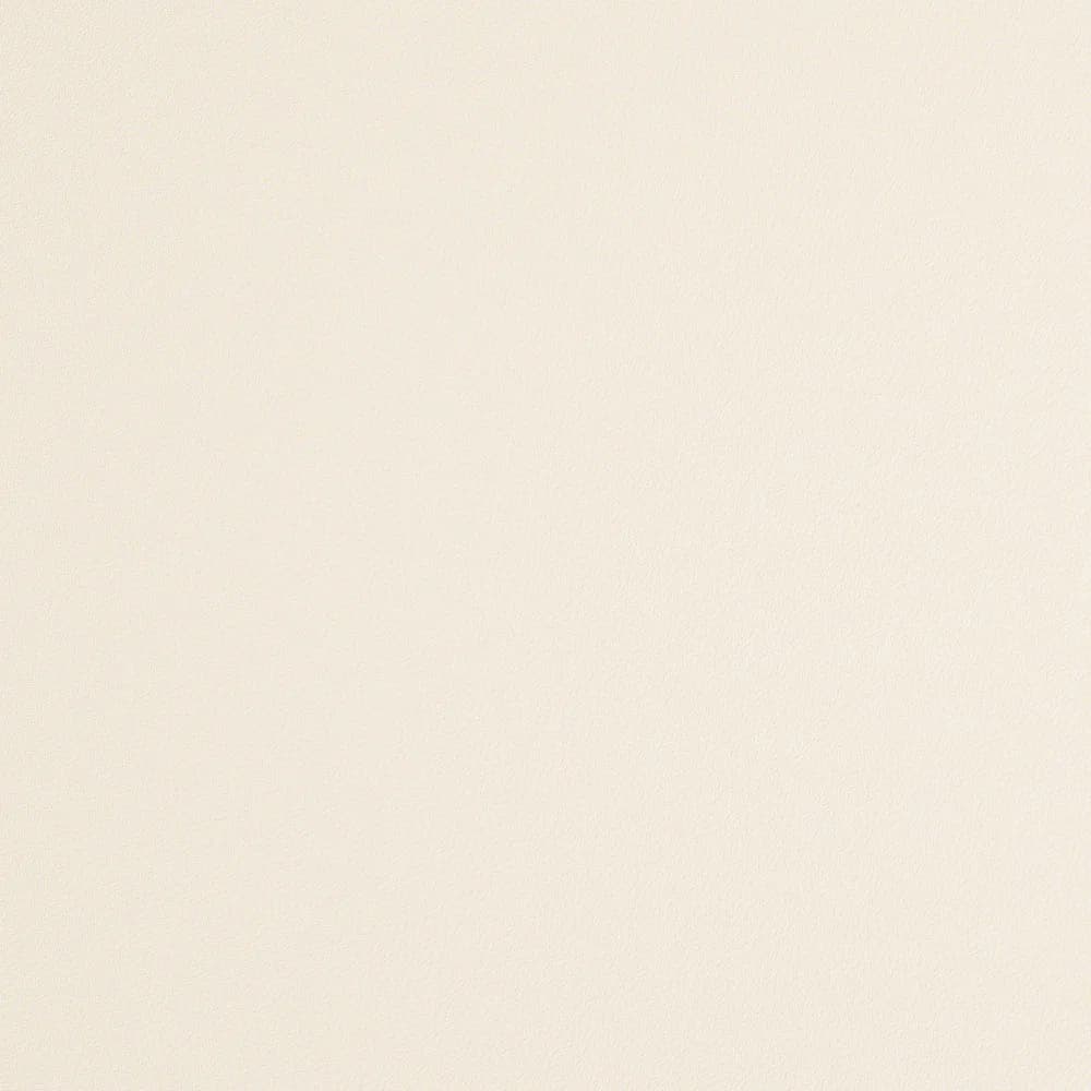 Kastamonu Vision — Pearl (D162)