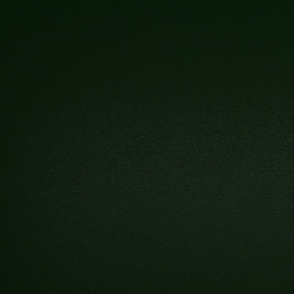 Kastamonu Vision — Cactus (D257)