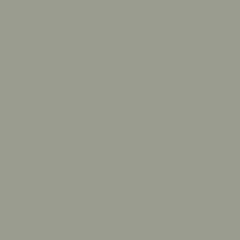 Kastamonu Vision — Ash Green (D259)