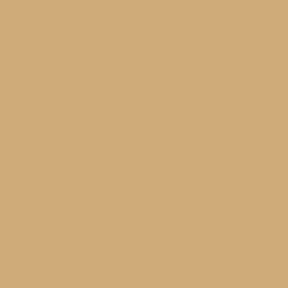 Kastamonu Vision — Golden Beige (D281)