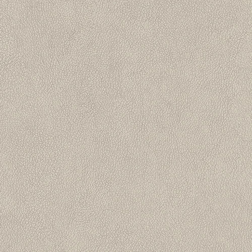 Kastamonu Vision — Sophia Pearl (F344)